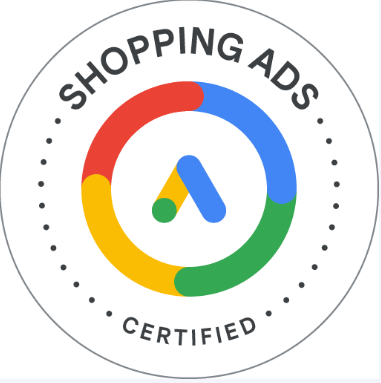 Google Ad Shopping Expert